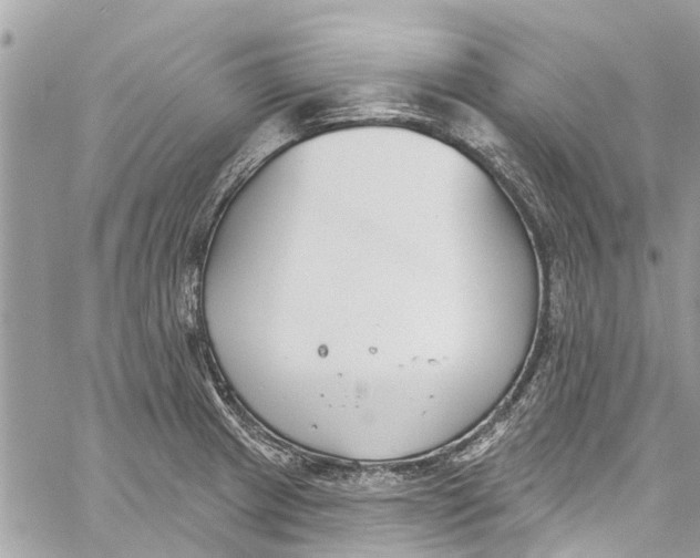 X0000060271233200511181411