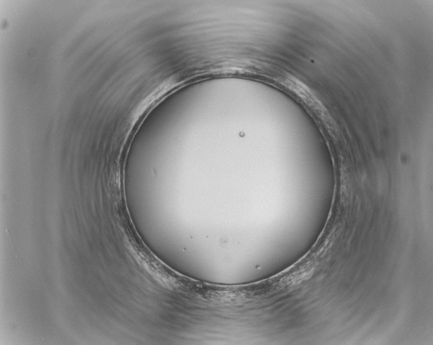 X0000060271234200511181411