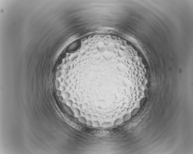 X0000060271235200511181411