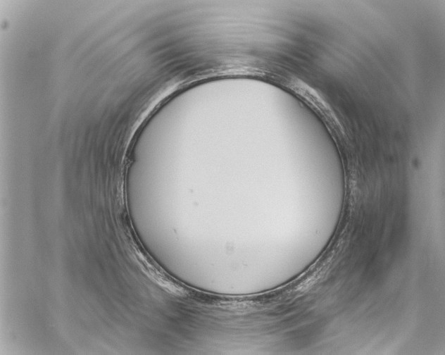 X0000060271236200511181411