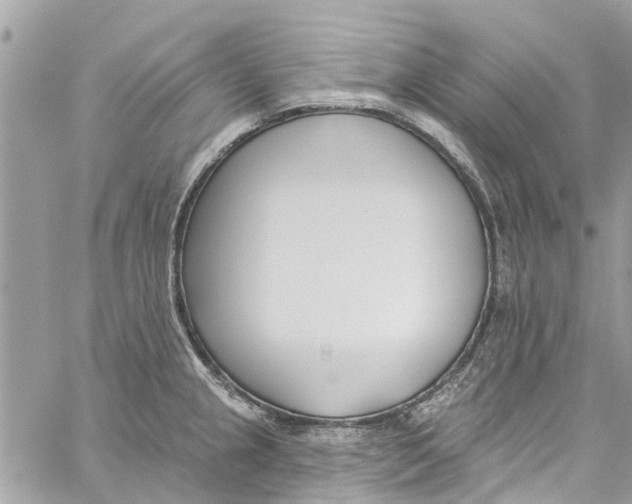 X0000060271237200511181411