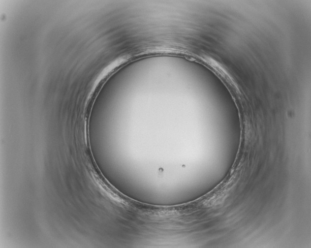 X0000060271238200511181411