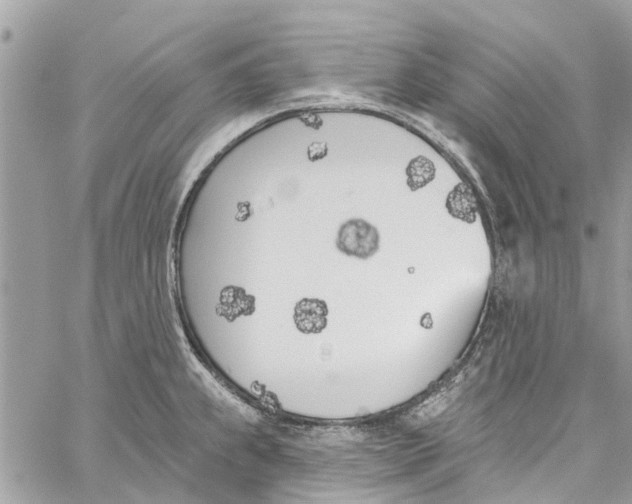 X0000060271239200511181411