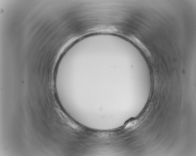 X0000060271240200511181411