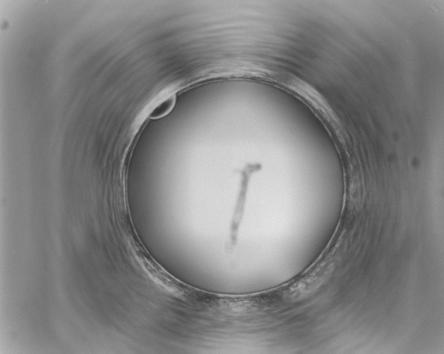 X0000060271242200511181411