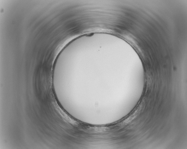 X0000060271244200511181411