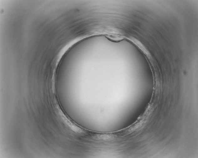 X0000060271246200511181411