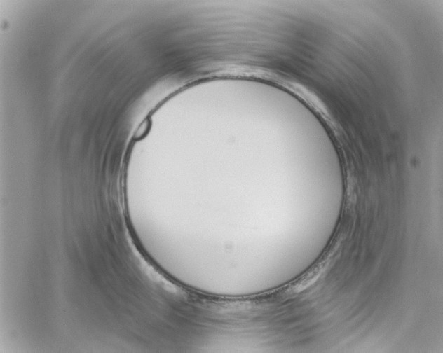 X0000060271247200511181411