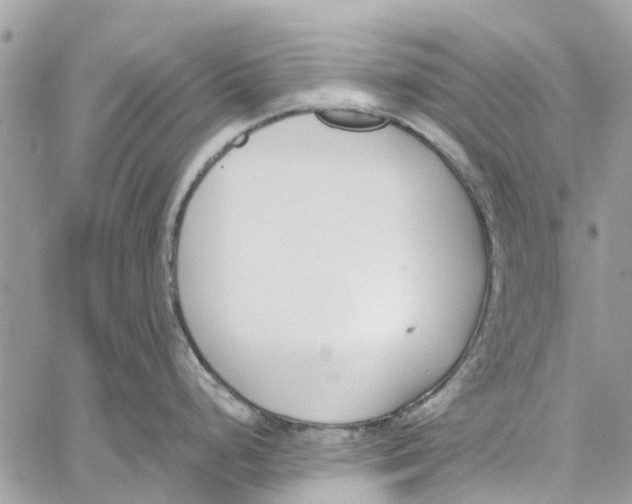 X0000060271248200511181411