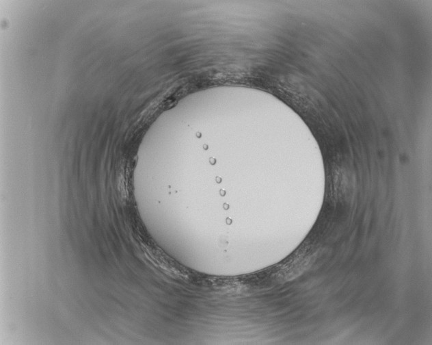 X0000060271250200511181411