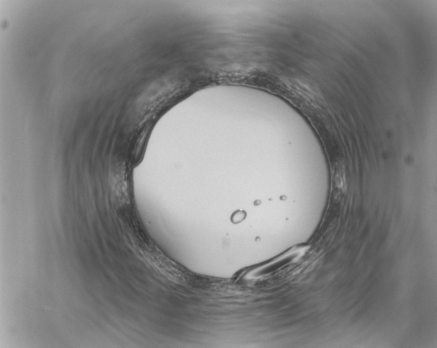 X0000060271252200511181411