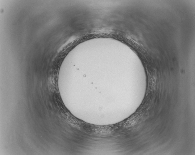 X0000060271254200511181410