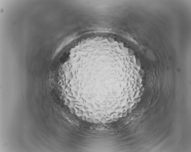 X0000060271255200511181410