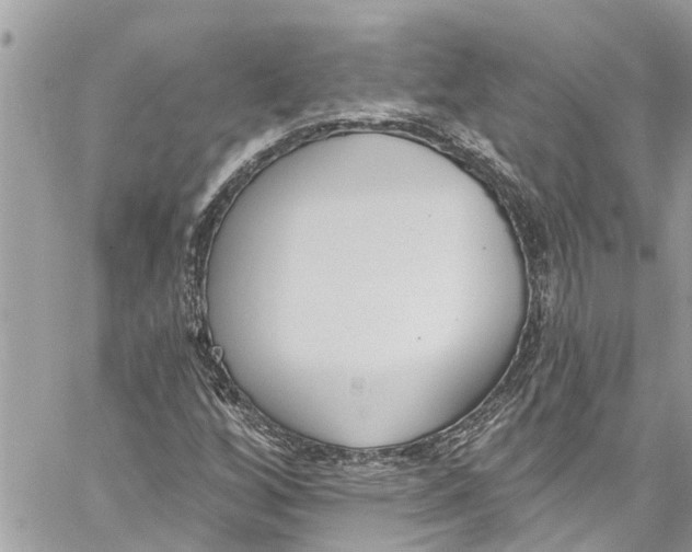 X0000060271256200511181410