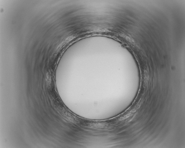 X0000060271257200511181410