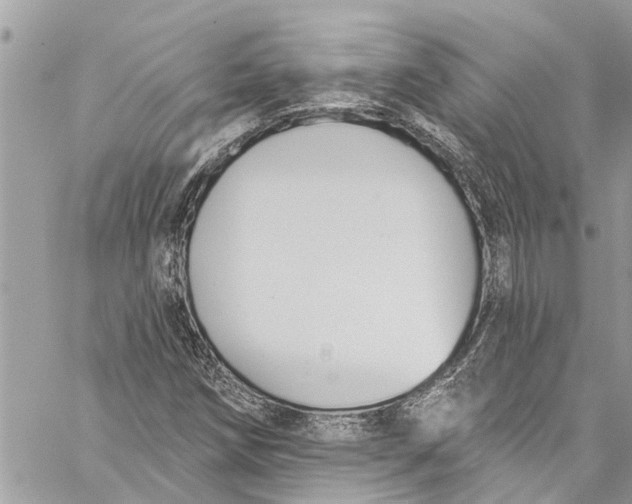 X0000060271258200511181410