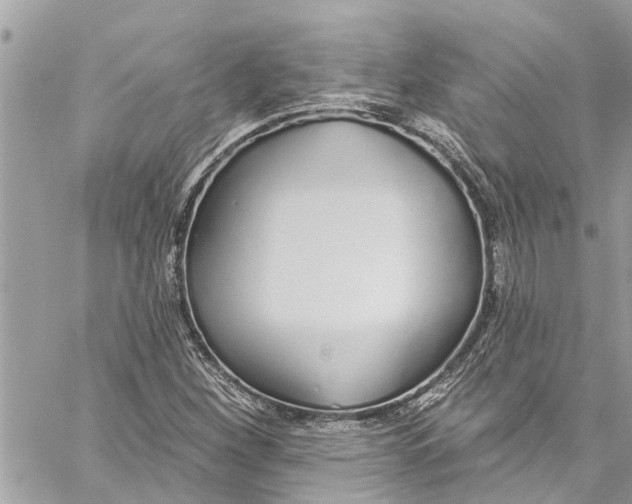 X0000060271260200511181410