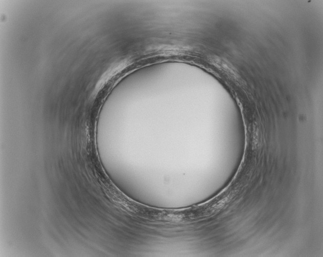 X0000060271261200511181410