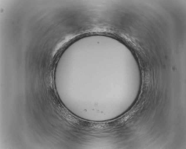 X0000060271262200511181410