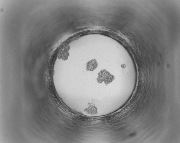 X0000060271263200511181410