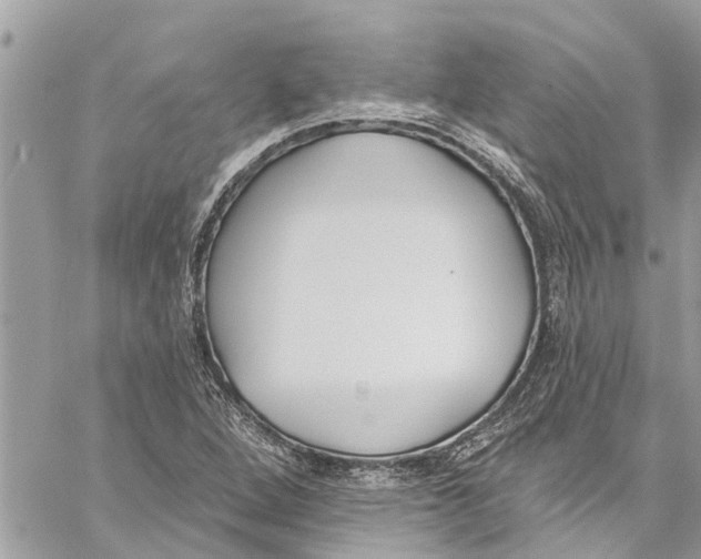 X0000060271264200511181410