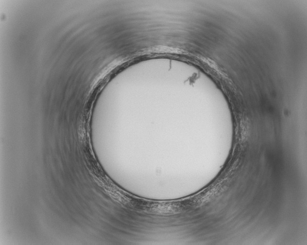 X0000060271266200511181410