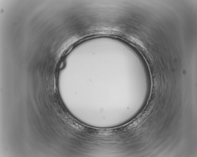 X0000060271267200511181410