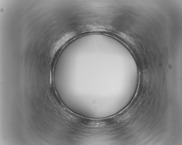 X0000060271269200511181410