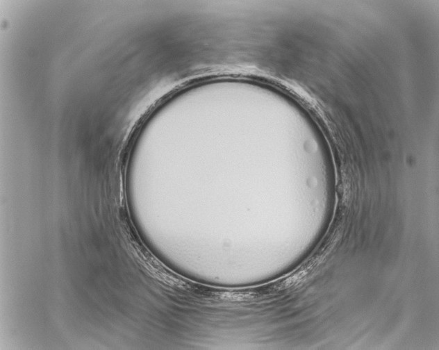 X0000060271271200511181410