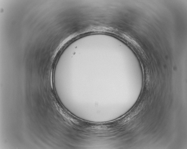 X0000060271272200511181410