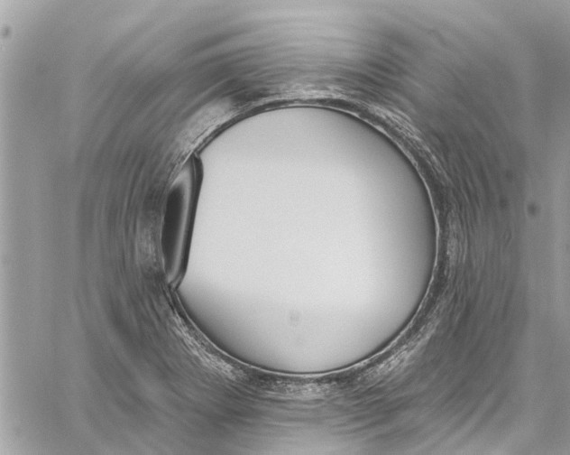 X0000060271273200511181410