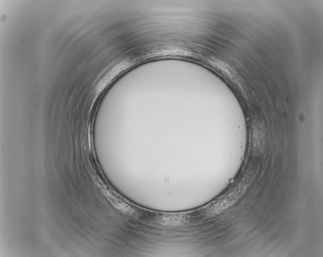 X0000060271274200511181410