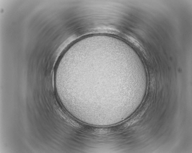 X0000060271275200511181410