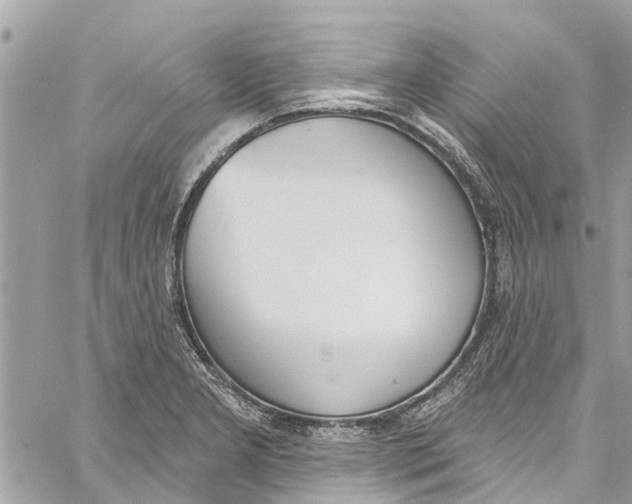 X0000060271277200511181410