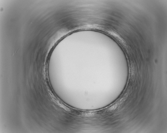 X0000060271278200511181410