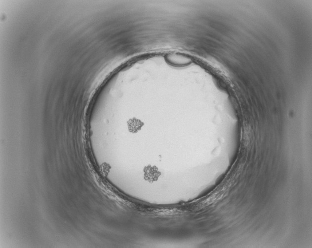 X0000060271279200511181410