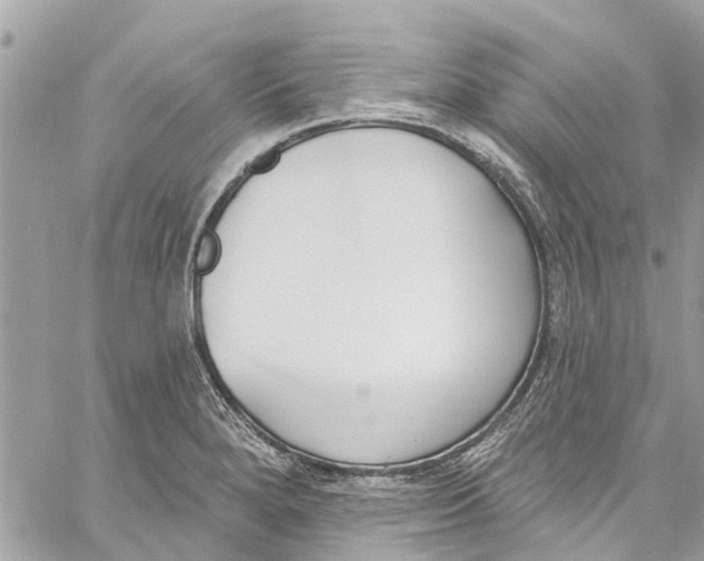 X0000060271280200511181410