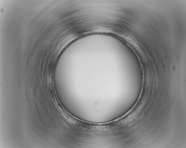 X0000060271281200511181410