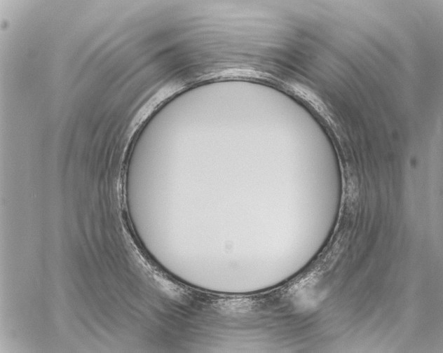 X0000060271282200511181410