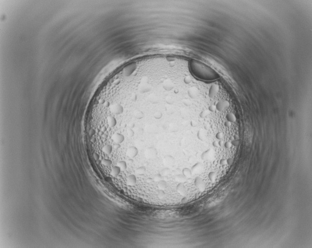 X0000060271283200511181410