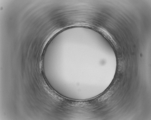 X0000060271284200511181410