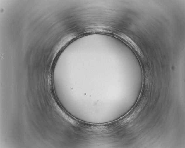 X0000060271285200511181410