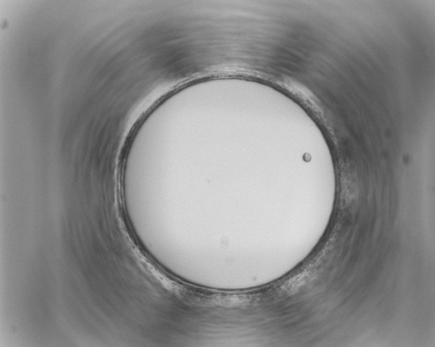 X0000060271286200511181410