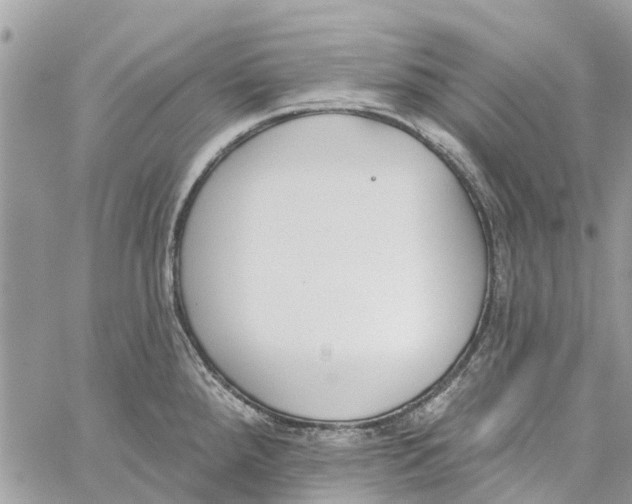 X0000060271288200511181410