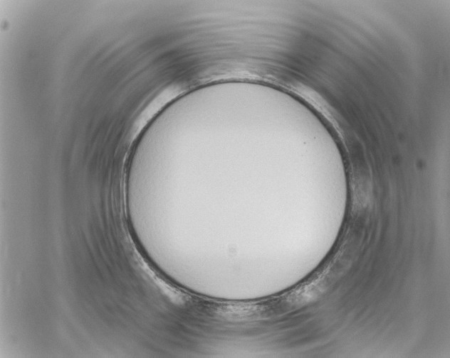 X0000060271290200511181410