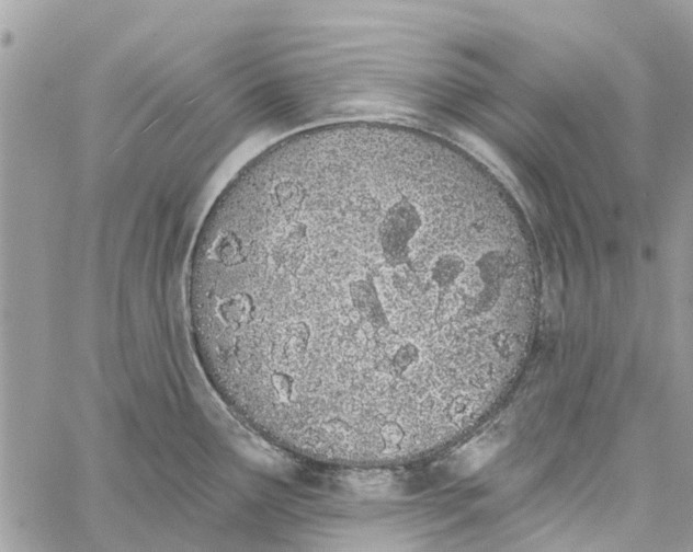 X0000060271291200511181410