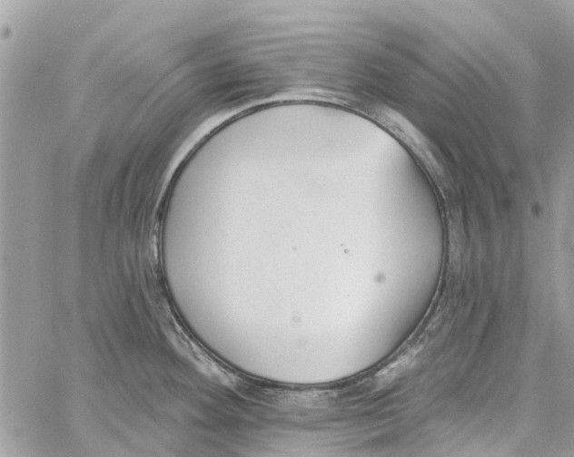 X0000060271292200511181410