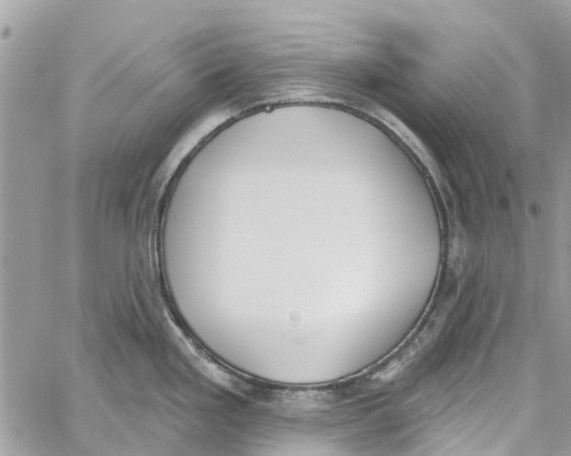 X0000060271293200511181410