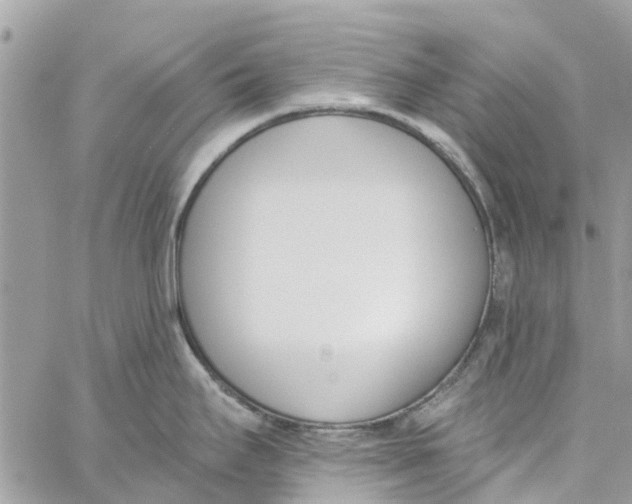 X0000060271295200511181410