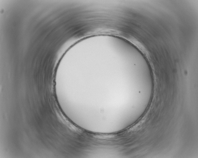 X0000060271296200511181410